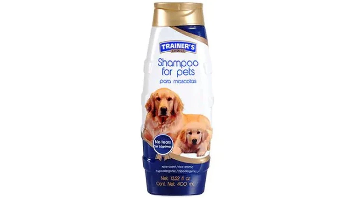 shampoo-trainers